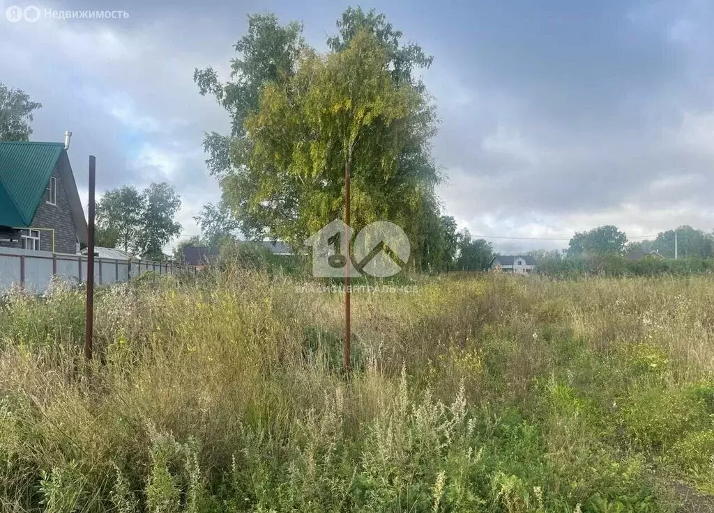 Участок в Новосибирский район, Верх-Тулинский сельсовет, ДНТ Берёзка, ... - Фото 2