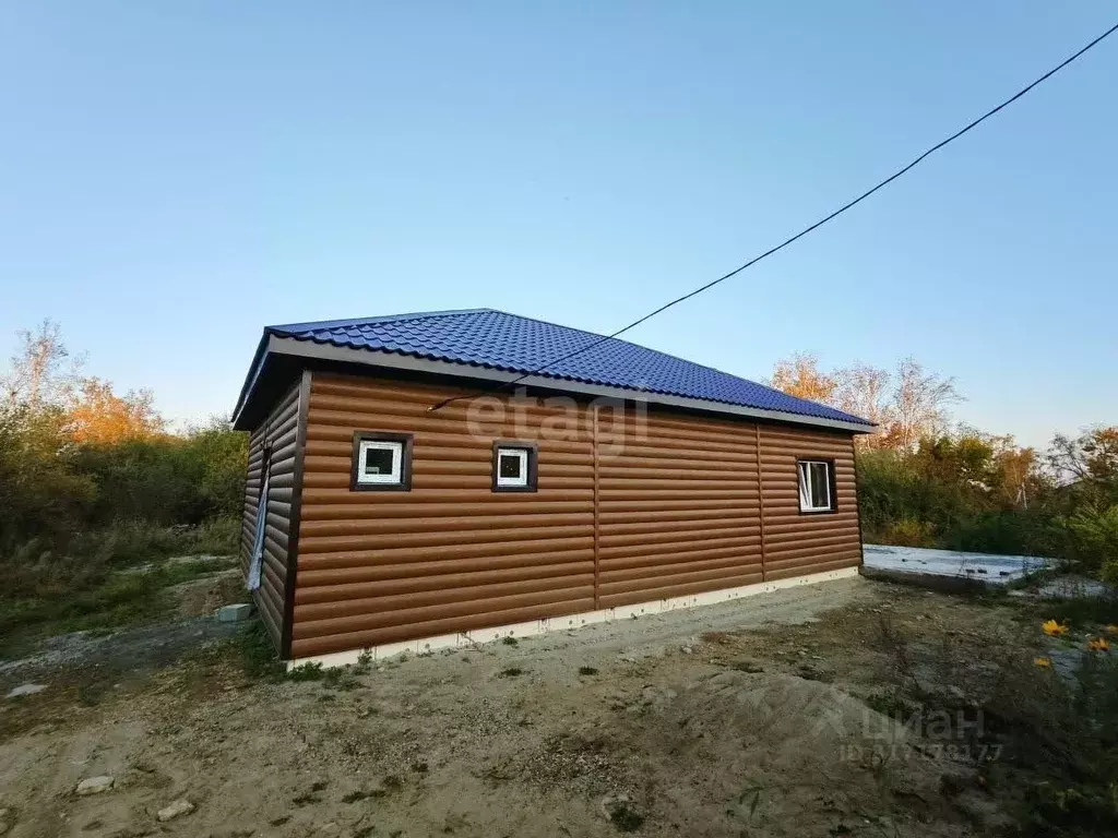 Дом в Амурская область, Благовещенский район, с. Чигири ул. ... - Фото 1