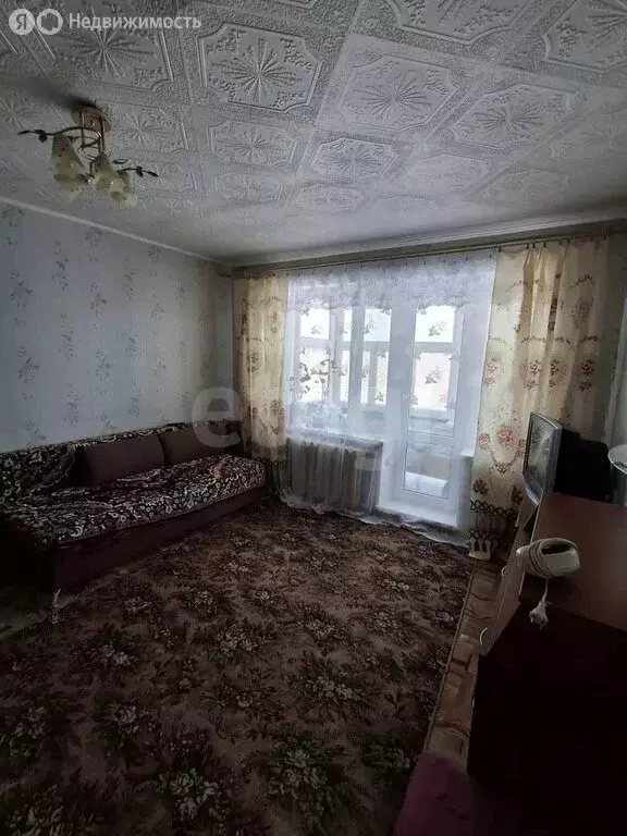 1-комнатная квартира: деревня Шипицына, Советская улица, 18 (32.2 м) - Фото 2