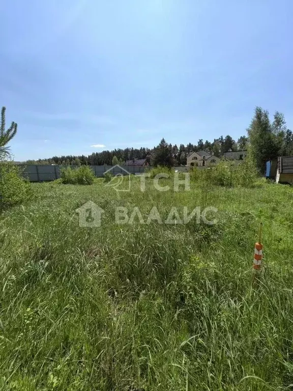 Участок в Московская область, Богородский городской округ, Приозерное ... - Фото 1