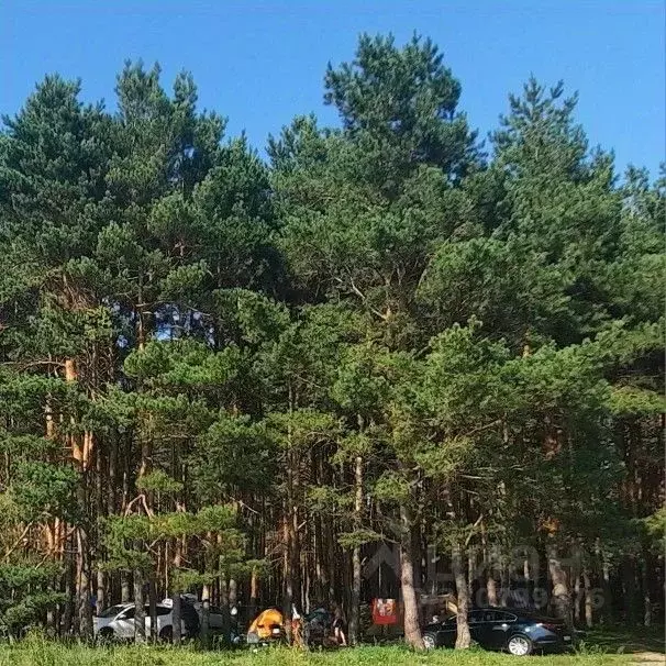 Дом в Тамбовская область, Бондарский муниципальный округ, с. Керша ул. ... - Фото 2