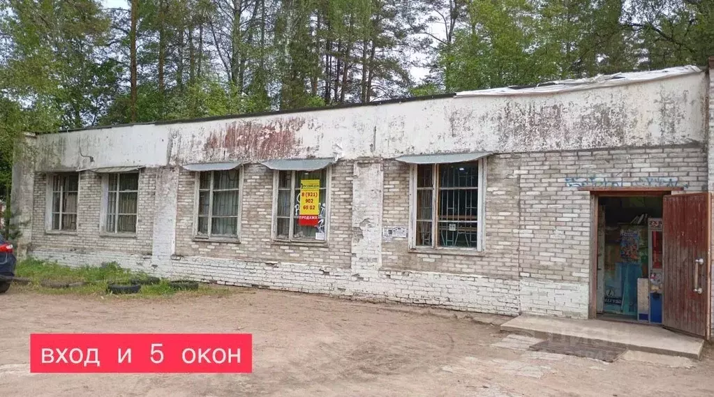 Помещение свободного назначения в Ленинградская область, Выборгский ... - Фото 1