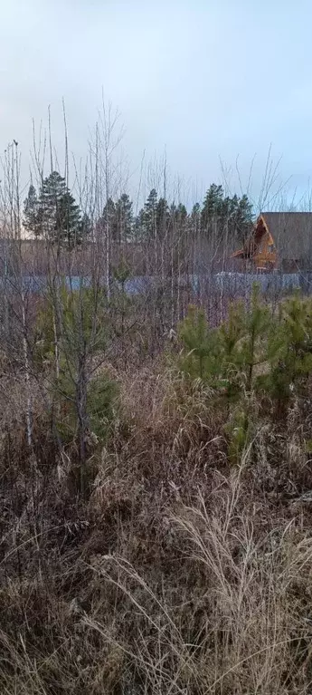 Участок в Иркутская область, Иркутский муниципальный округ, Зеленый ... - Фото 1