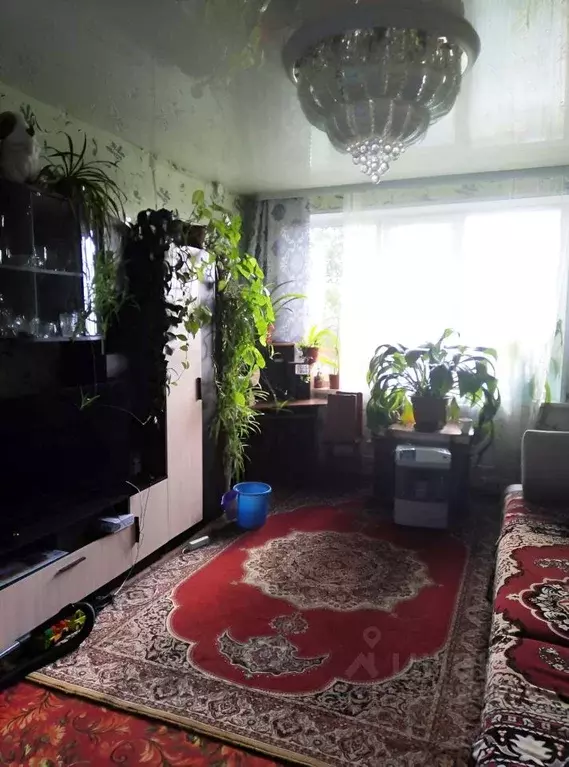 2-к кв. Хакасия, Черногорск ул. 40 лет Победы, 3 (48.2 м) - Фото 2