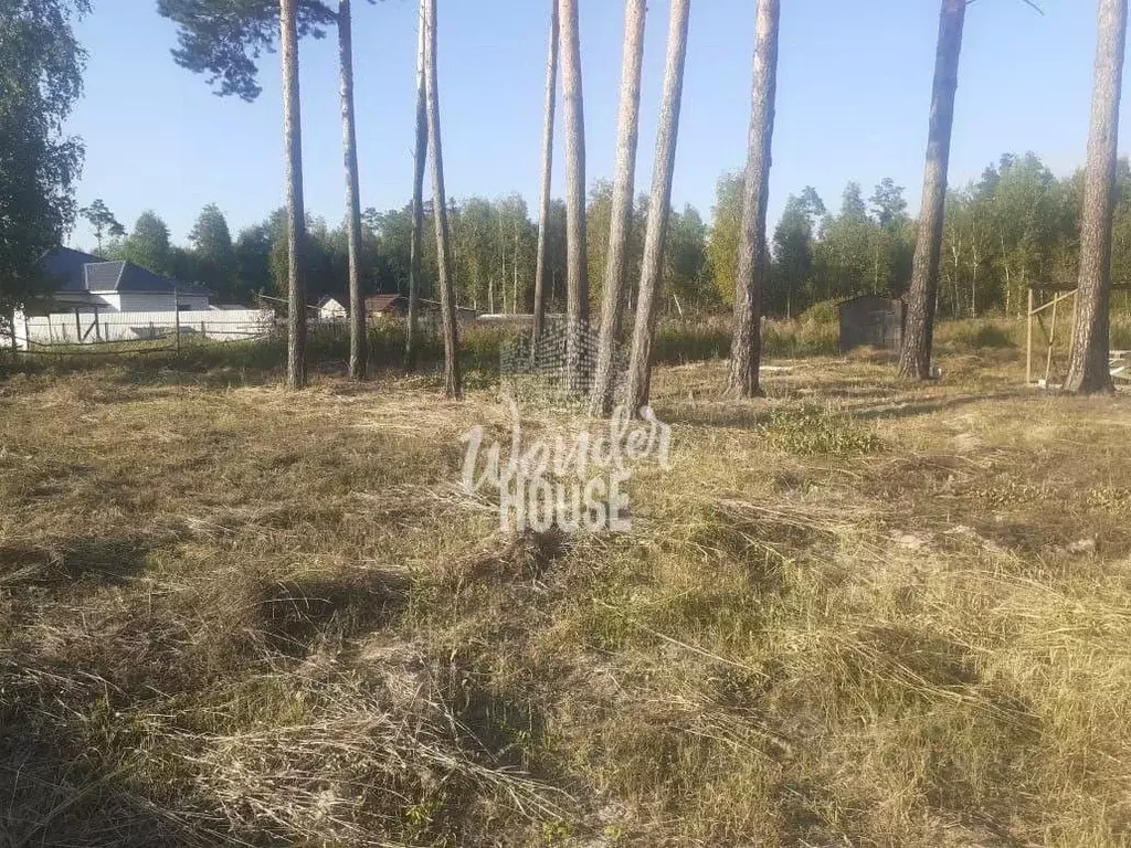 Участок в Тюменская область, Тюменский муниципальный округ, Архитектор ... - Фото 2