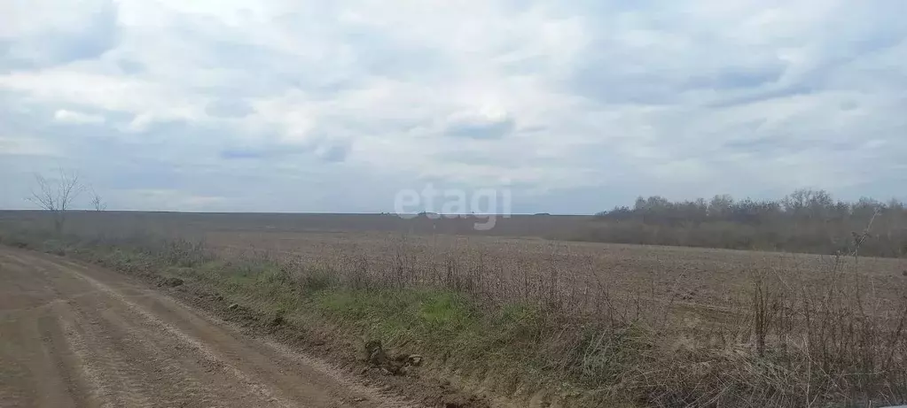 Участок в Белгородская область, Белгородский район, Беловское с/пос, ... - Фото 1