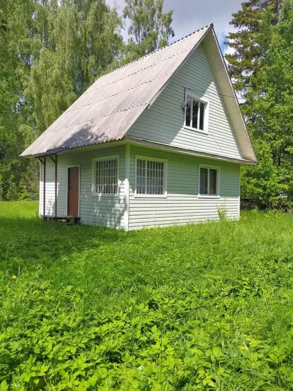 Дом в Ленинградская область, Кингисеппский район, д. Вистино ул. ... - Фото 1