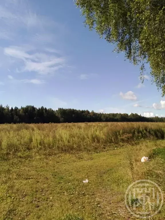 Участок в Ленинградская область, Лужский район, Толмачевское городское ... - Фото 2