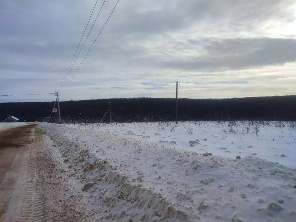 Участок в Московская область, Серебряные Пруды пгт пл. Советская ... - Фото 2