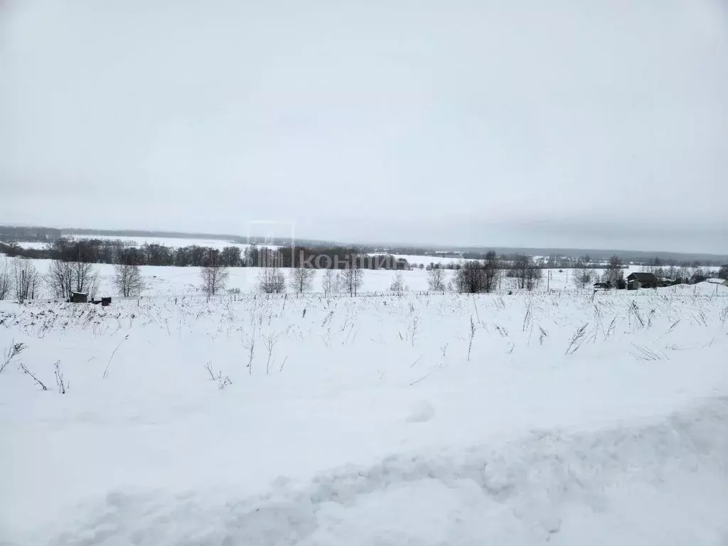 Участок в Владимирская область, Собинский муниципальный округ, д. ... - Фото 1