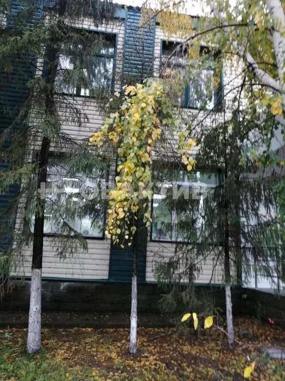 Помещение свободного назначения в Алтайский край, с. Новичиха ул. ... - Фото 1