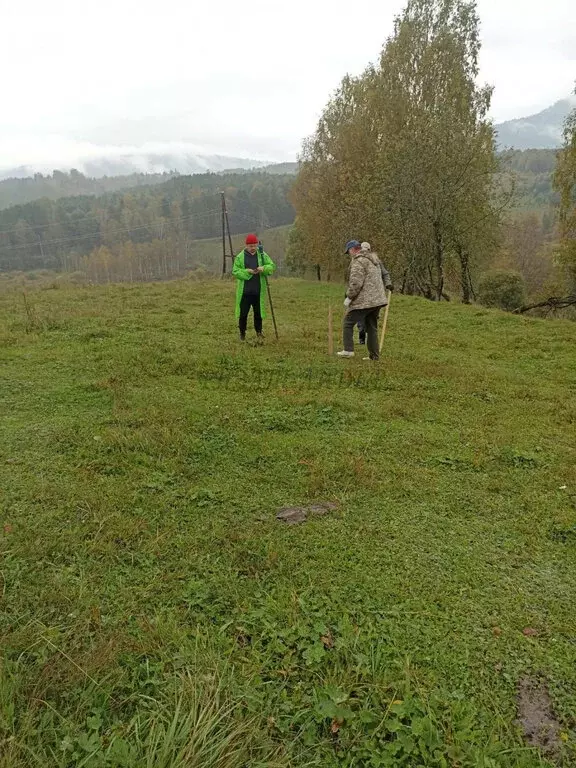 Участок в село Турочак, улица Солнечная Поляна (12.2 м) - Фото 1