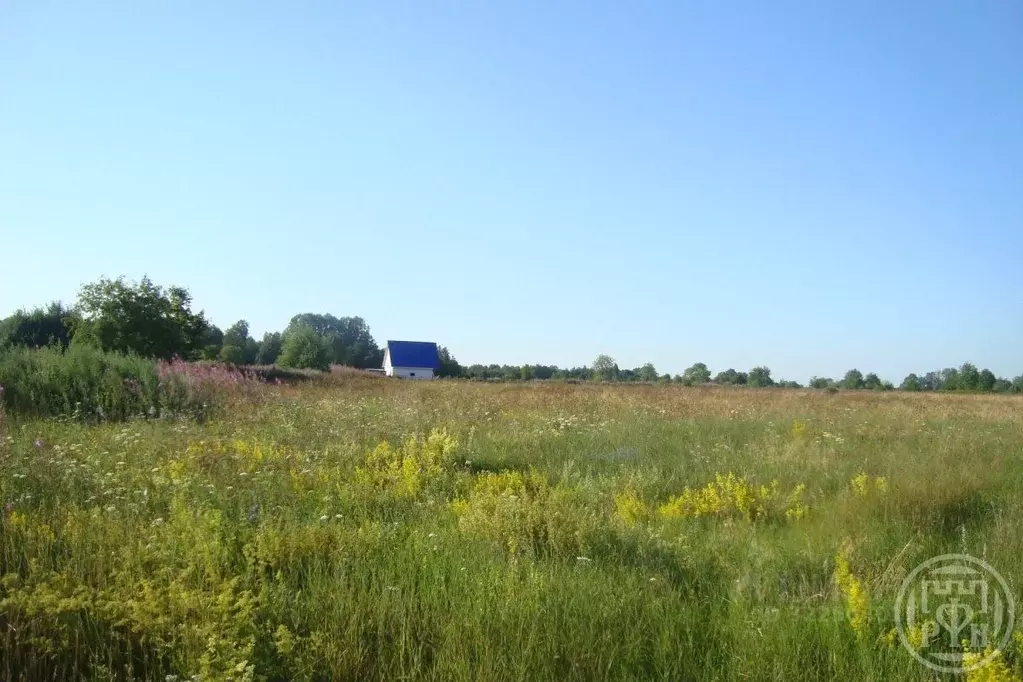 Участок в Ленинградская область, Выборгский район, Красносельское ... - Фото 0