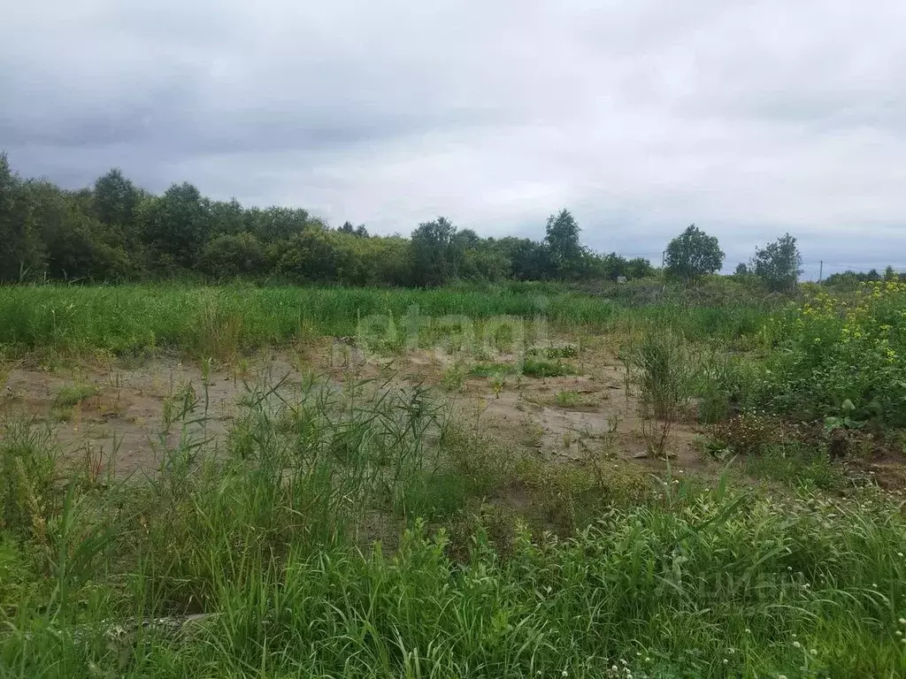 Участок в Тюменская область, Тюмень Большое Царево-1 СНТ,  (9.9 сот.) - Фото 2