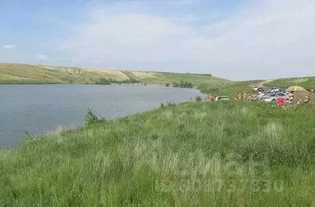 Участок в Алтайский край, Павловский район, с. Шахи Гвардейская ул., ... - Фото 1