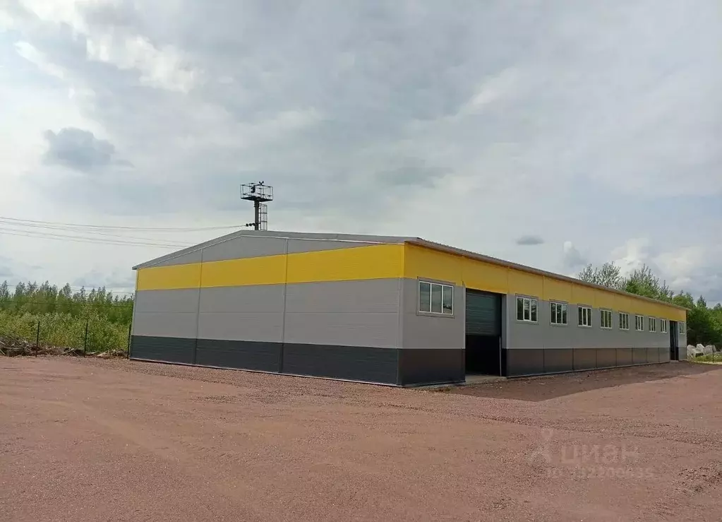 Помещение свободного назначения в Ленинградская область, Всеволожский ... - Фото 2