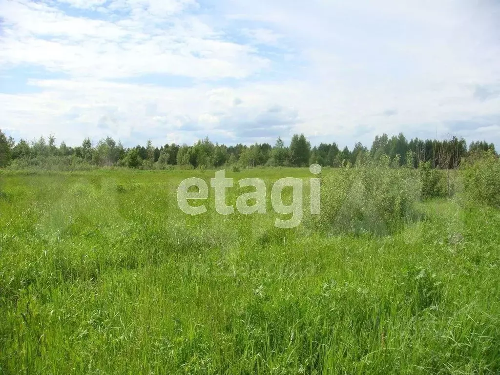 Участок в Тульская область, Тула городской округ, Спутник СНТ  (8.0 ... - Фото 1