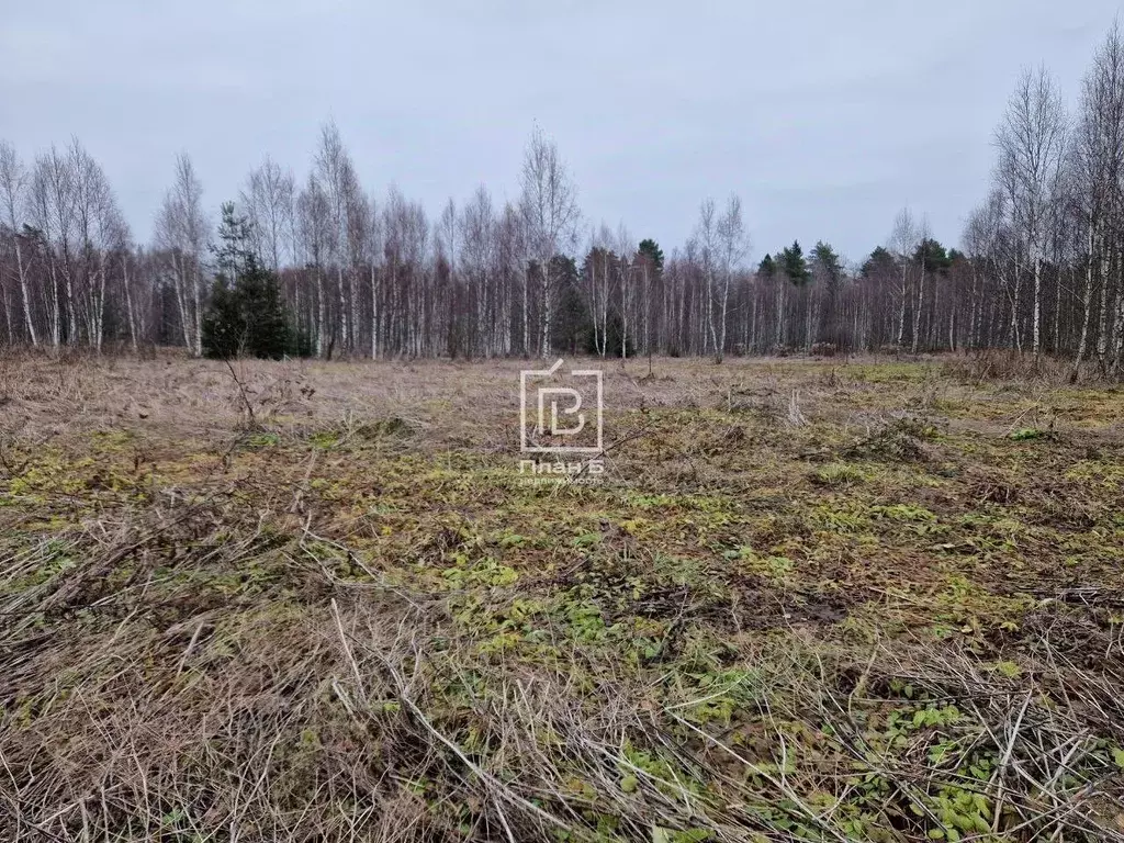 Участок в Калужская область, Калуга городской округ, д. Матюнино  ... - Фото 0