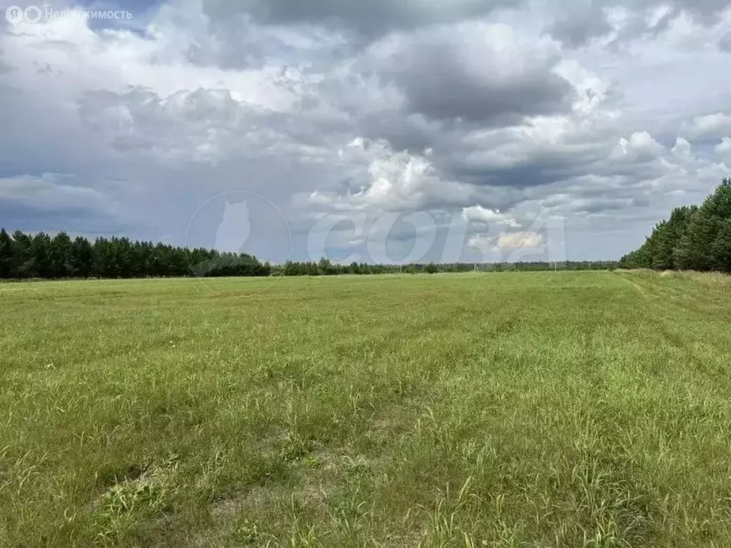 Участок в Тюменский район, деревня Речкина (15 м) - Фото 1