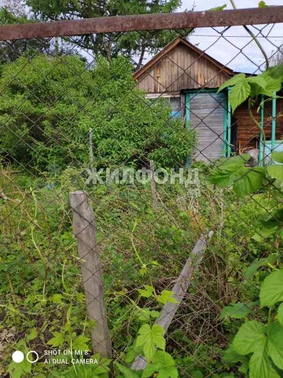 Купить Дачу Новосибирск Мочище В Снт