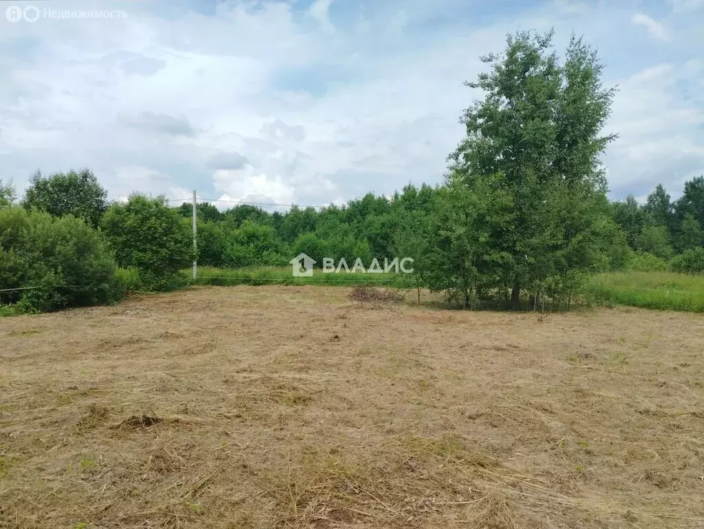 Участок в Московская область, городской округ Электросталь, деревня ... - Фото 2