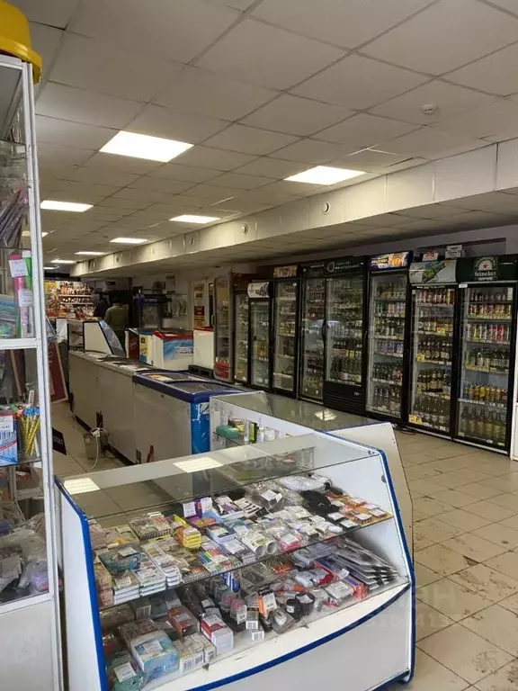 Торговая площадь в Алтайский край, Барнаул ул. Гоголя, 213 (501 м) - Фото 2