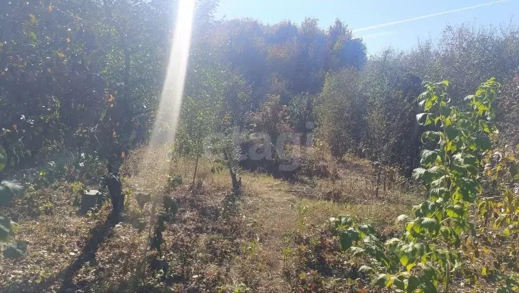 Участок в Саратовская область, Балашов Пугачевская ул., 17литЗ (10.0 ... - Фото 1