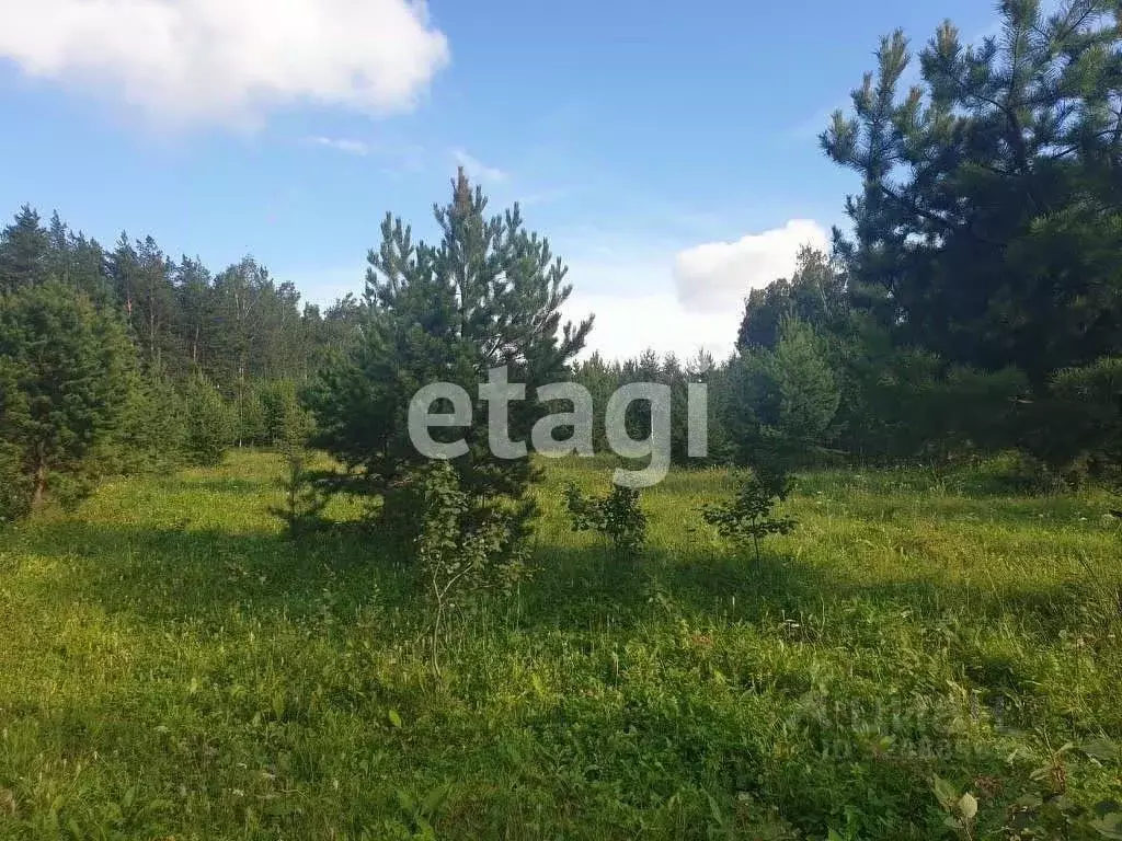 Участок в Красноярский край, Емельяновский муниципальный округ, Луч ... - Фото 1