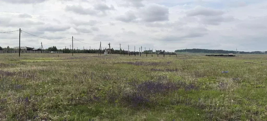 Участок в Иркутская область, Иркутский муниципальный округ, д. ... - Фото 1