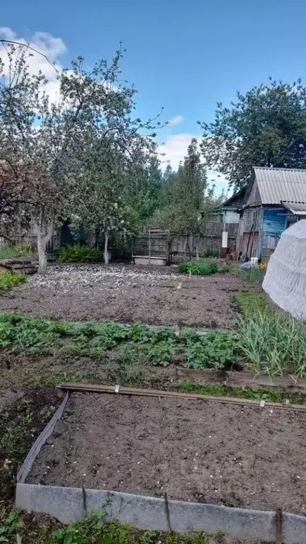 Участок в Брянская область, Брянск Прогресс СНТ,  (6.3 сот.) - Фото 1