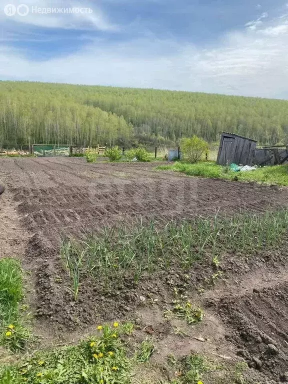 Участок в Кемеровский муниципальный округ, деревня Усть-Хмелевка (33 ... - Фото 2