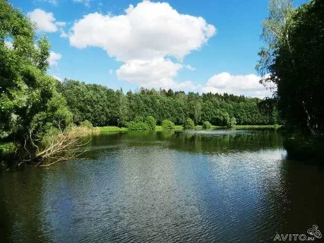 Продается дом в пос. Ватутинки - Фото 2