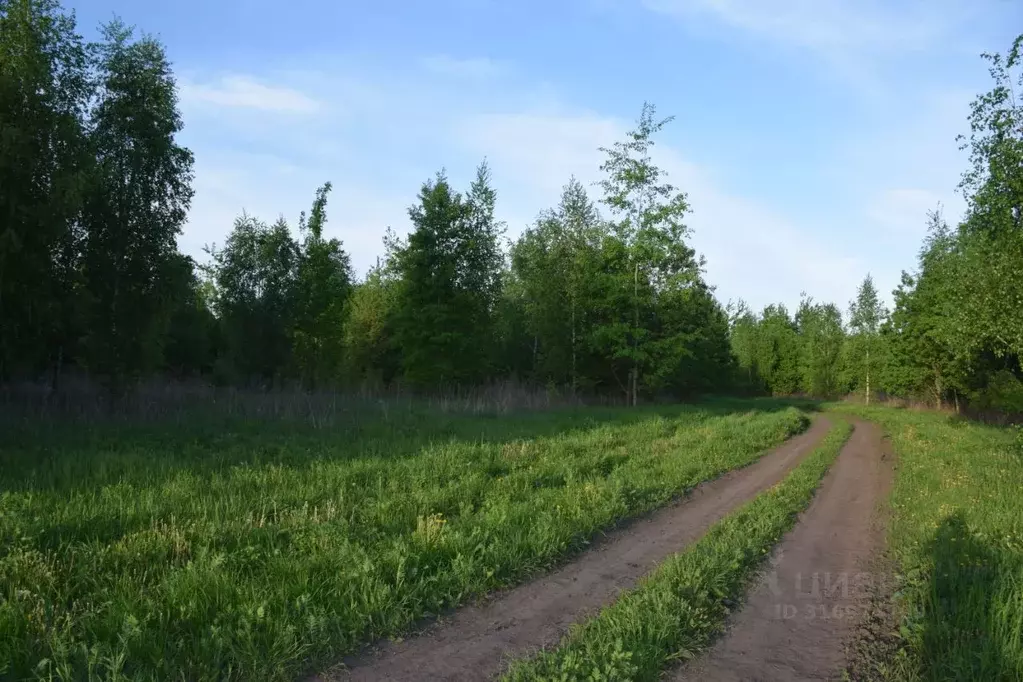 Участок в Орловская область, Орловский район, пос. Горки ул. ... - Фото 1
