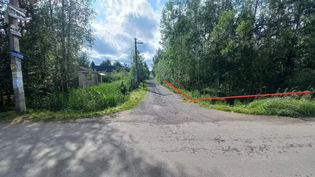 Участок в Ленинградская область, Тосненский район, Форносовское ... - Фото 1