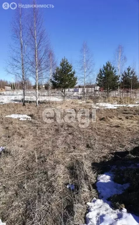 участок в псковский район, логозовская волость, деревня большая . - Фото 0