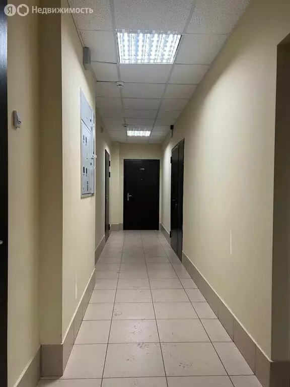 Квартира-студия: Кудрово, Областная улица, 1 (28.5 м) - Фото 1