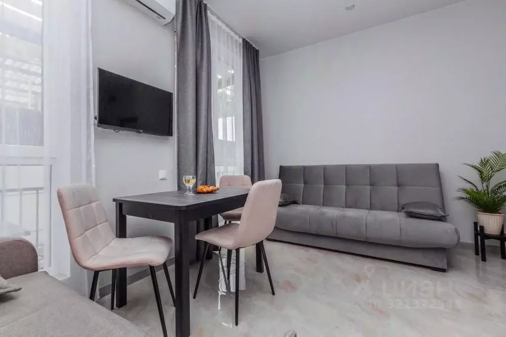 1-к кв. Краснодарский край, Сочи ул. Ленина, 300А (25.0 м) - Фото 2