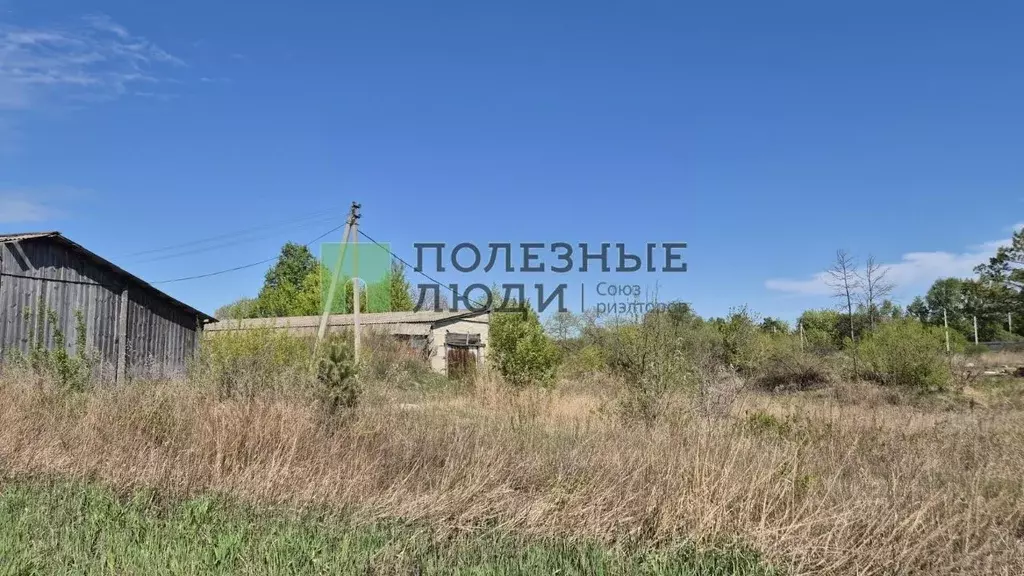 Склад в Амурская область, Благовещенский район, с. Владимировка  (126 ... - Фото 2