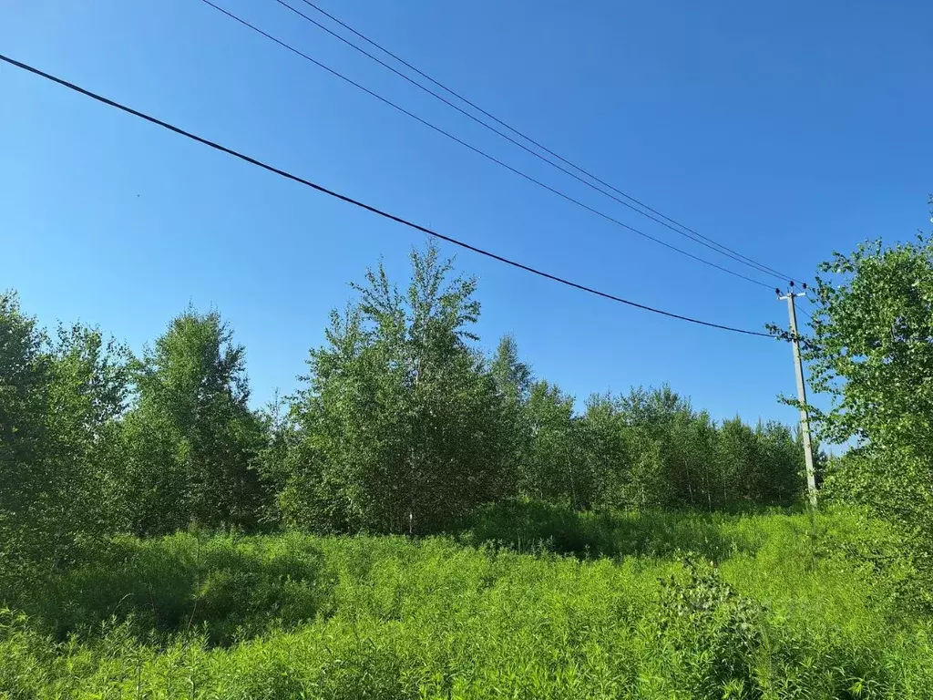 Участок в Нижегородская область, Богородский муниципальный округ, с. ... - Фото 1