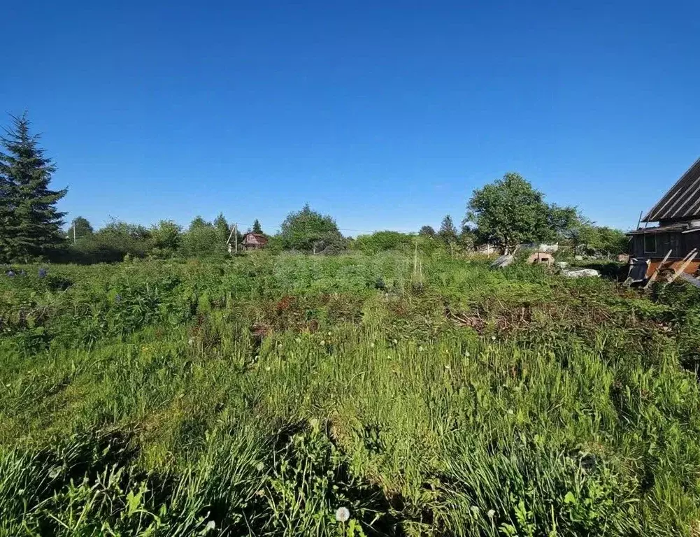 Участок в Вологодская область, Пригородное СНТ 395 (6.0 сот.) - Фото 2