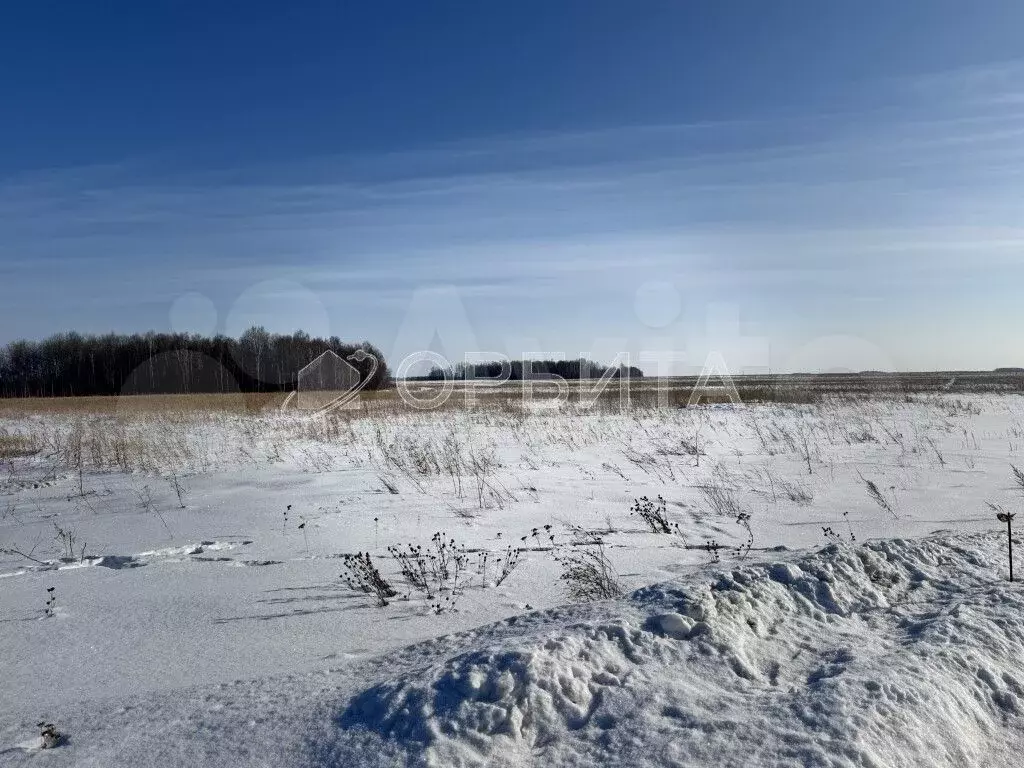 Участок 6,4 сот. (СНТ, ДНП) - Фото 0