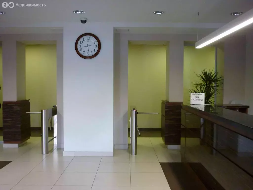 Офис (23.5 м) - Фото 2