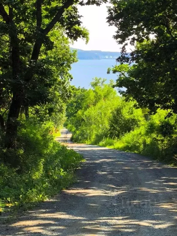 Участок в Приморский край, Находка пос. Врангель, ул. Ясная, 24 ... - Фото 0