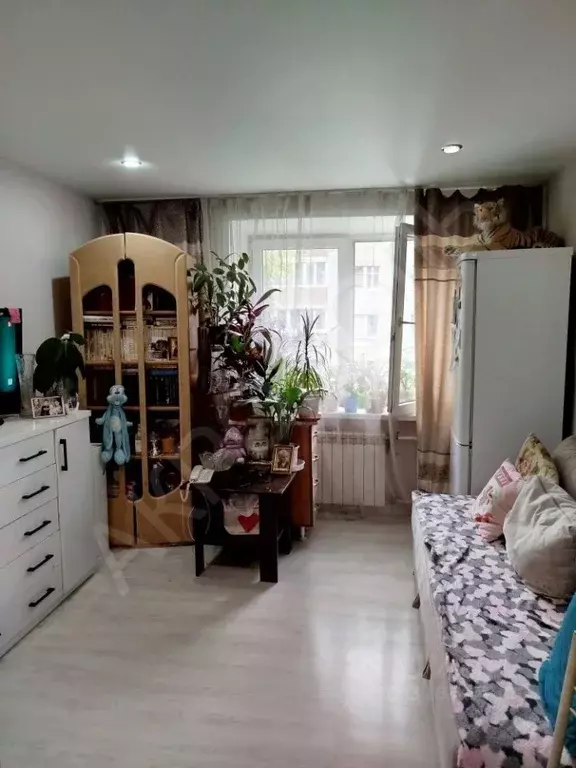 1-к кв. Красноярский край, Красноярск ул. 60 лет Октября, 145 (17.9 м) - Фото 1