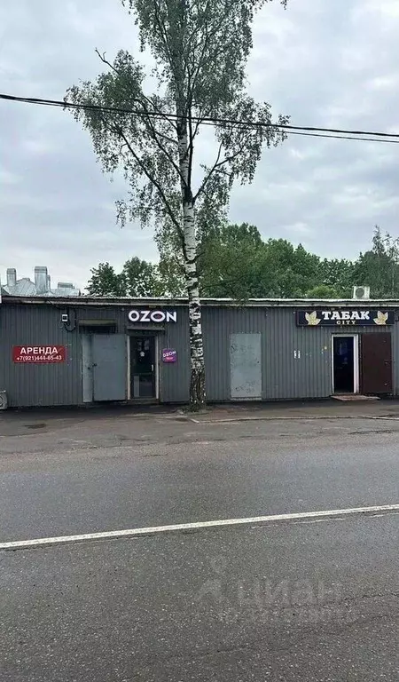 Торговая площадь в Ленинградская область, Гатчина ул. Куприна, 10/18 ... - Фото 1