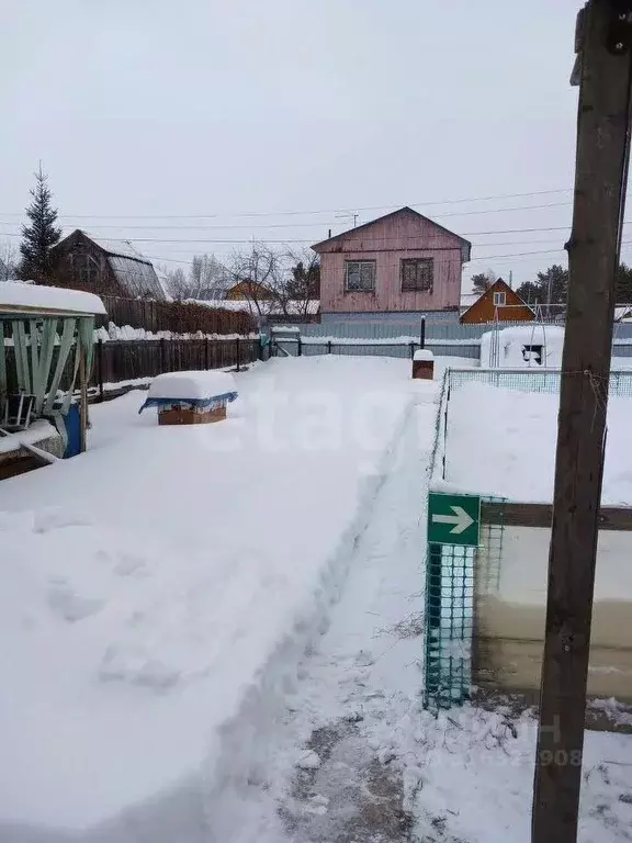 Участок в Новосибирская область, Новосибирск Строймашевец СНТ, 258 ... - Фото 0