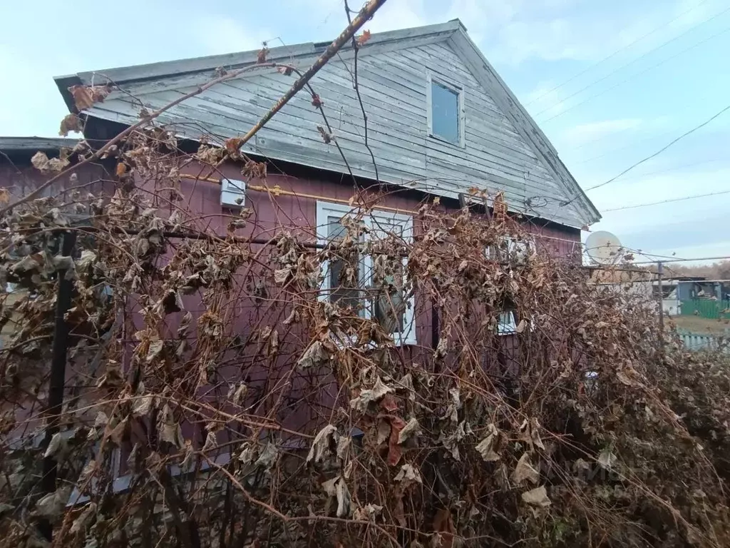Дом в Саратовская область, Калининский район, Свердловское ... - Фото 2