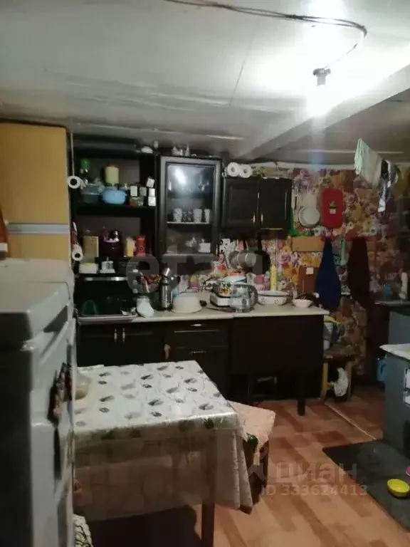 Дом в Амурская область, Ивановский муниципальный округ, с. Богородское ... - Фото 2