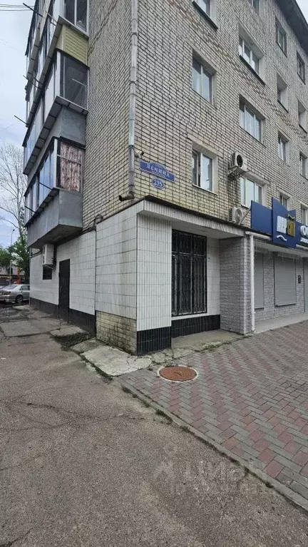 Помещение свободного назначения в Амурская область, Благовещенск ул. ... - Фото 1