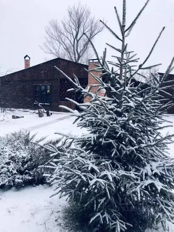 Коттедж в Оренбургская область, Оренбург ПО Мир СНТ, Троллейбусник ... - Фото 1